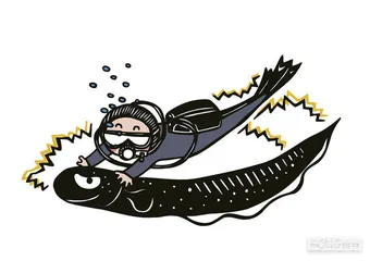 消费·理财（754）3