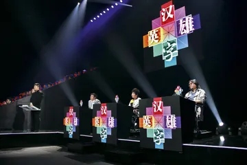 马东：“汉字英雄”折射出语文教育问题1