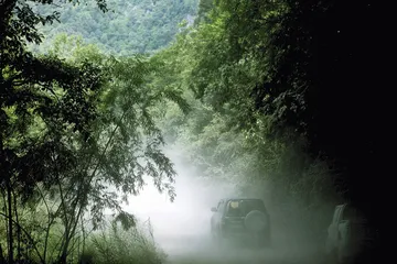 ​滇藏线上的熊家父子1