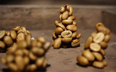 好东西(754)5
