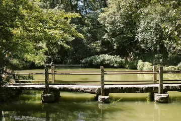 栖居品相6