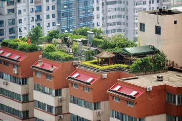 坏邻居张必清2