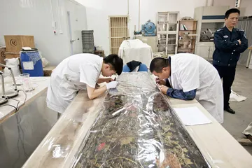 倒计时中的首次国宝大调查2