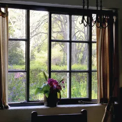 库克船长的小屋3