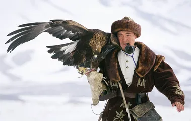 在夹缝中生存