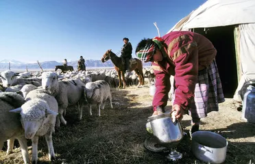 在夹缝中生存1