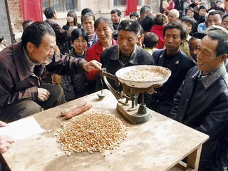 中国为什么没有孟山都？6