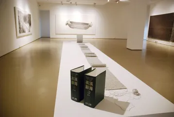 观看的方式