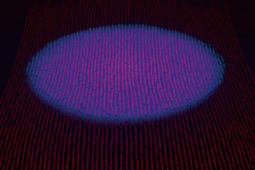 观看的方式6