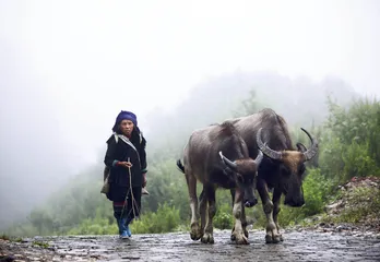 哈尼梯田，景观遗产之外6
