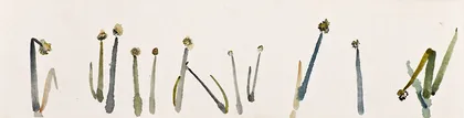 观看的方式10
