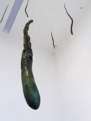 观看的方式11