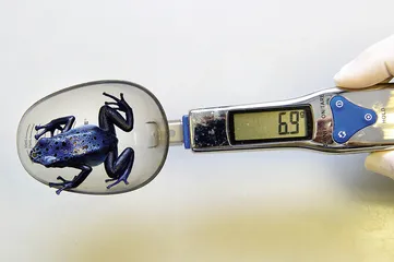 天下(744)1