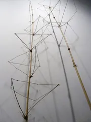 观看的方式12
