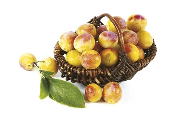 ​普罗旺斯“古早味”：甜点、果酱和香料12