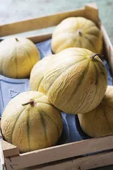 Avignon,Orange,Apt 阿维尼翁周边的隐秘地点4