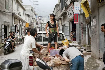 寿山石雕：农民的艺术盛宴3