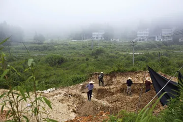 寿山石雕：农民的艺术盛宴4