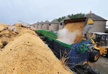 中储粮大火：托市收购垄断与保管费的后遗症1