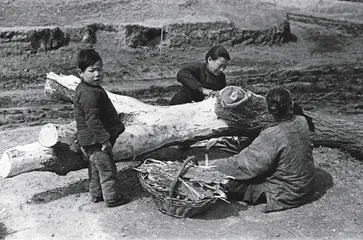 ​重温19423