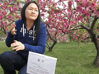 那些年轻的诗者