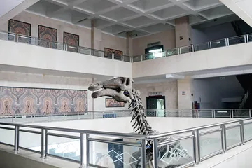 从矿长到古生物学者：郑晓廷和他的天宇博物馆1