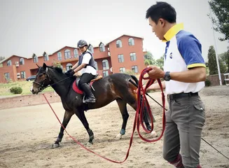 马背上的童年：一个父亲的复合教育实验2