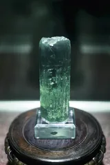 从矿长到古生物学者：郑晓廷和他的天宇博物馆4
