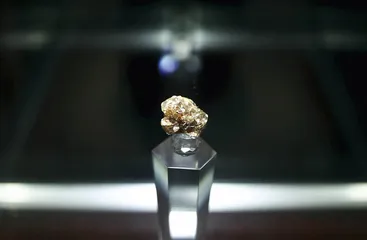 从矿长到古生物学者：郑晓廷和他的天宇博物馆5