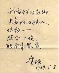 琼瑶:乡愁飘散红尘中4