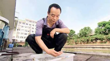 父子“鱼院士”,让中国人吃好鱼1