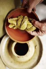长江出水烂：即将到来的食鱼季节6