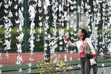 复旦投毒案疑问4