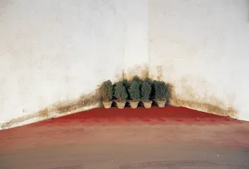 日常的“纪念碑”11