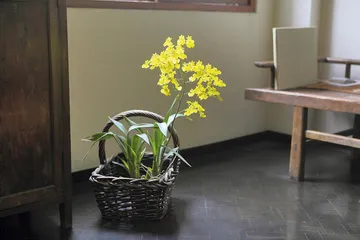 解致璋：事茶者之山水意境3