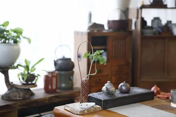 中国茶道的嬗变：从唐宋到明清3