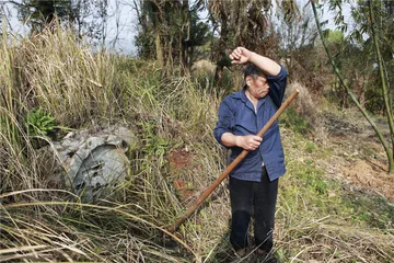 1967年的杀人案和46年后的审判3