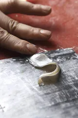 刀鱼之殇1