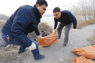 “黄浦江浮猪”事件：散户养殖积弊的集中爆发5