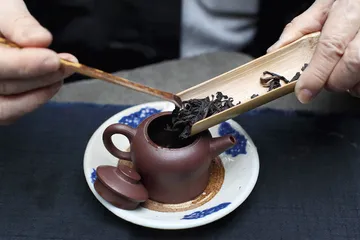 紫藤庐：“无何有之乡”的茶境8