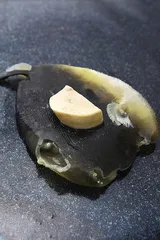 河豚的诱惑