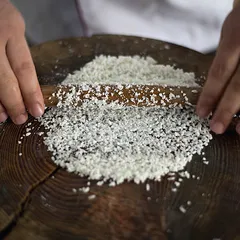 长江浪阔鮰鱼美3