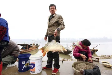 长江浪阔鮰鱼美6