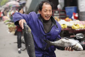 清江访鱼记1