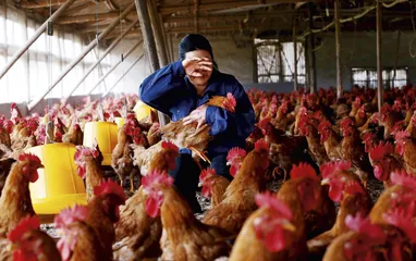 H7N9溯源