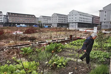 温岭最牛钉子户：温柔对峙下的拆迁变局4