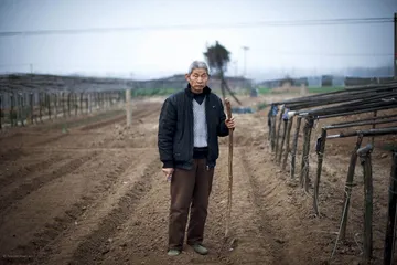 从“众口纷纭”到“众目睽睽”2