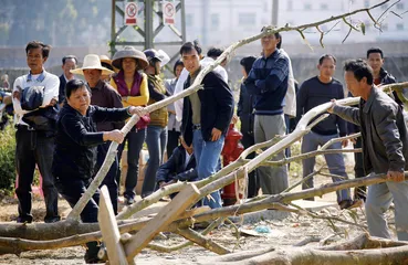 妥协：乌坎事件方法论1