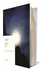 伊恩·麦克尤恩：《追日》1
