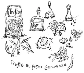 青酱飞扬4